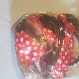 Minnie mouse costume